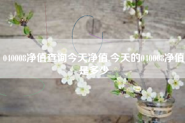 040008净值查询今天净值,今天的040008净值是多少