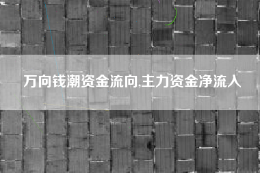 万向钱潮资金流向,主力资金净流入