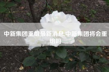 中新集团重组最新消息,中新集团将会重组吗