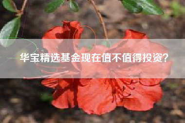 华宝精选基金现在值不值得投资？