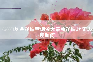 050001基金净值查询今天最新净值,历史表现如何