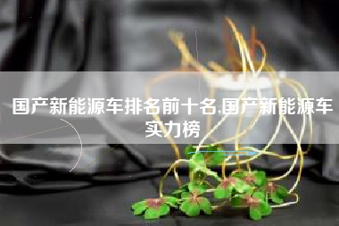 国产新能源车排名前十名,国产新能源车实力榜