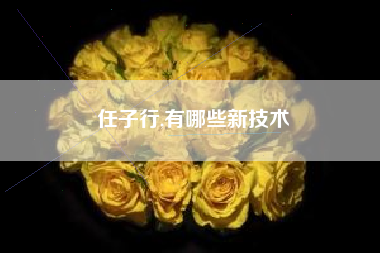 任子行,有哪些新技术