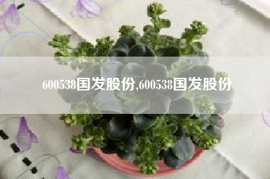 600538国发股份,600538国发股份