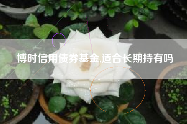 博时信用债券基金,适合长期持有吗