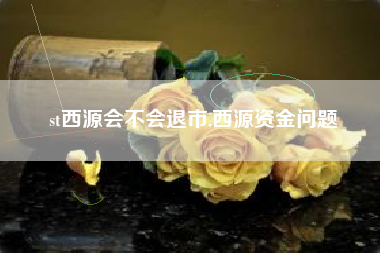 st西源会不会退市,西源资金问题