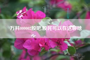 万科000002股吧,股民可以在这聊啥