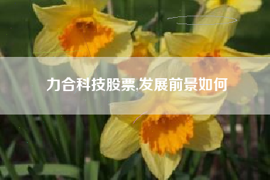 力合科技股票,发展前景如何