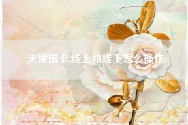 天津磁卡,线上和线下怎么操作