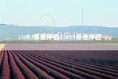 150311基金净值,150311基金净值
