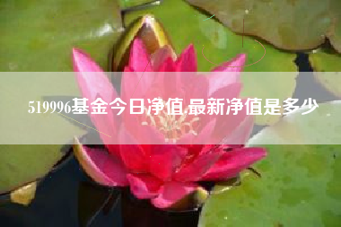 519996基金今日净值,最新净值是多少