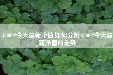 450002今天最新净值,如何分析450002今天最新净值的走势