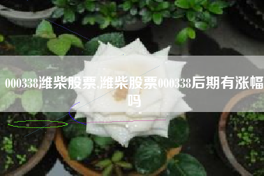 000338潍柴股票,潍柴股票000338后期有涨幅吗