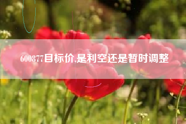 600877目标价,是利空还是暂时调整