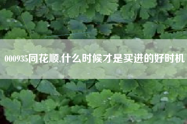 000935同花顺,什么时候才是买进的好时机