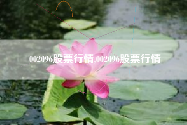 002096股票行情,002096股票行情