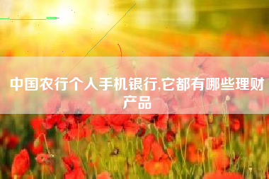 中国农行个人手机银行,它都有哪些理财产品