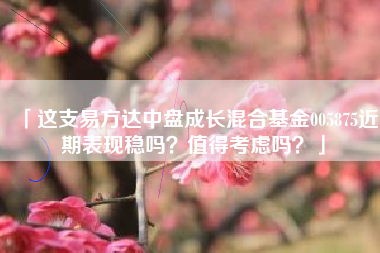 「这支易方达中盘成长混合基金005875近期表现稳吗？值得考虑吗？」