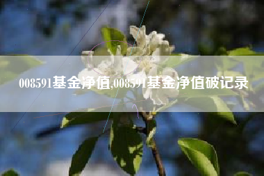 008591基金净值,008591基金净值破记录