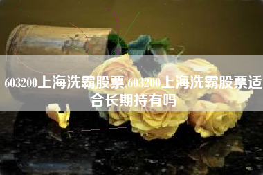 603200上海洗霸股票,603200上海洗霸股票适合长期持有吗
