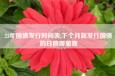 23年国债发行时间表,下个月新发行国债的日期哪里查