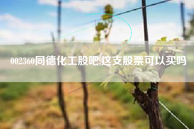 002360同德化工股吧,这支股票可以买吗