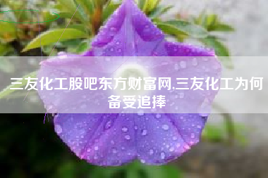 三友化工股吧东方财富网,三友化工为何备受追捧