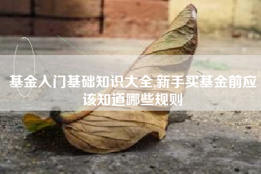 基金入门基础知识大全,新手买基金前应该知道哪些规则