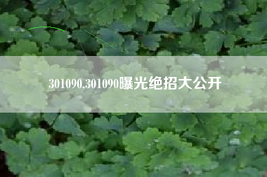 301090,301090曝光绝招大公开