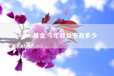 000905基金,今年收益率有多少