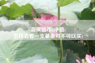 嘉实货币a净值(
怎样去看一支基金可不可以买)