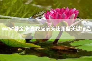 006267基金净值,我应该关注哪些关键信息
