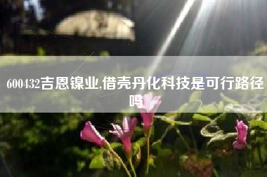 600432吉恩镍业,借壳丹化科技是可行路径吗