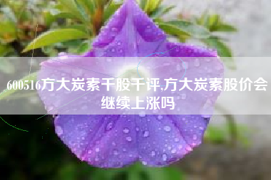 600516方大炭素千股千评,方大炭素股价会继续上涨吗
