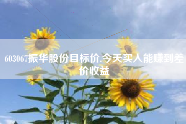 603067振华股份目标价,今天买入能赚到差价收益