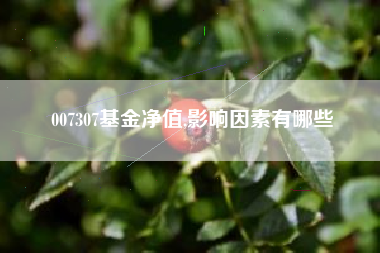 007307基金净值,影响因素有哪些