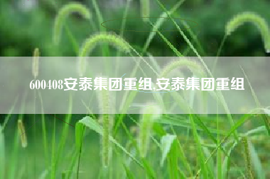 600408安泰集团重组,安泰集团重组