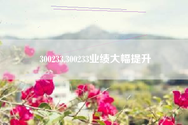 300233,300233业绩大幅提升