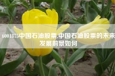 6001875中国石油股票,中国石油股票的未来发展前景如何