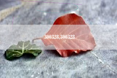 300328,300328