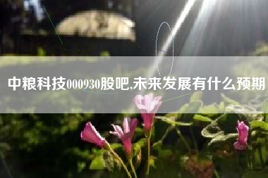 中粮科技000930股吧,未来发展有什么预期