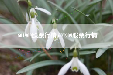 601909股票行情,601909股票行情