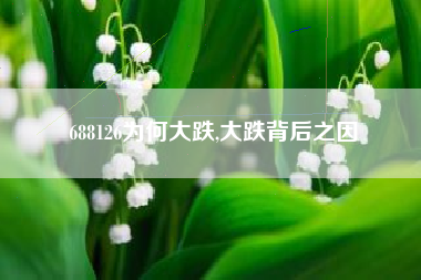 688126为何大跌,大跌背后之因