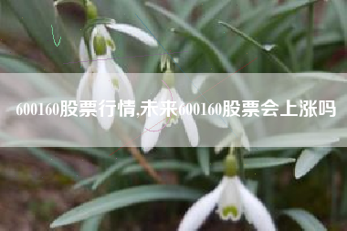 600160股票行情,未来600160股票会上涨吗