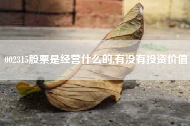 002315股票是经营什么的,有没有投资价值