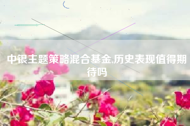 中银主题策略混合基金,历史表现值得期待吗