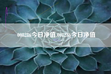 008286今日净值,008286今日净值