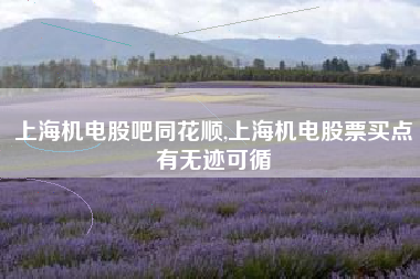 上海机电股吧同花顺,上海机电股票买点有无迹可循