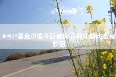 009812基金净值今日查询,获取净值动态有妙招