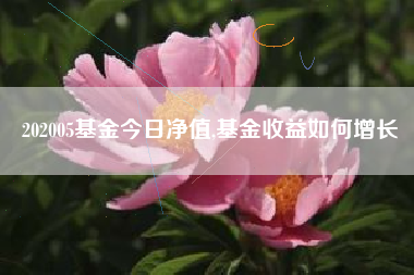 202005基金今日净值,基金收益如何增长